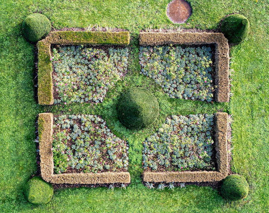 Aerial view of a designed garden