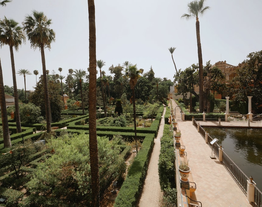 Garden with water feature