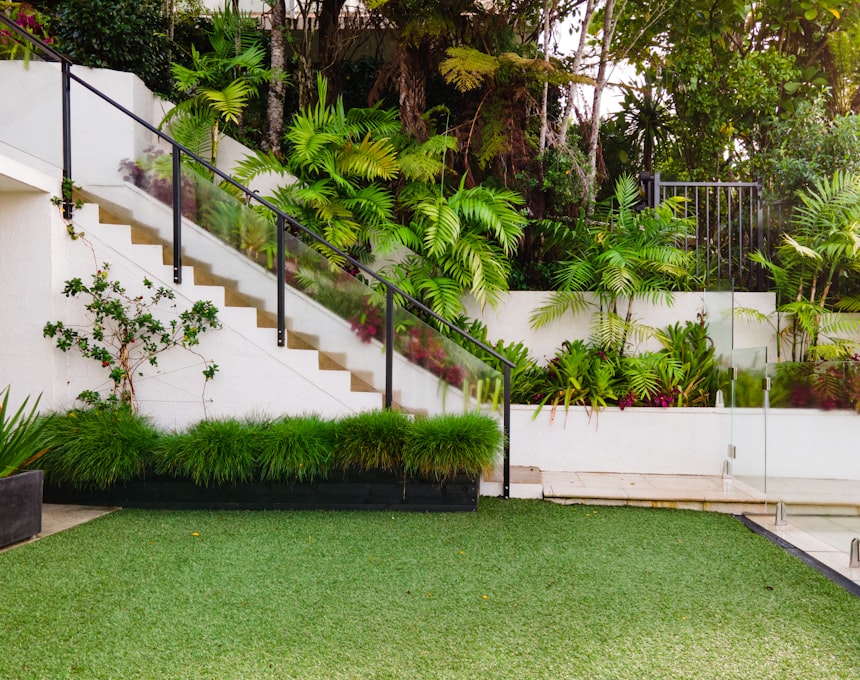 Front lawn of a house