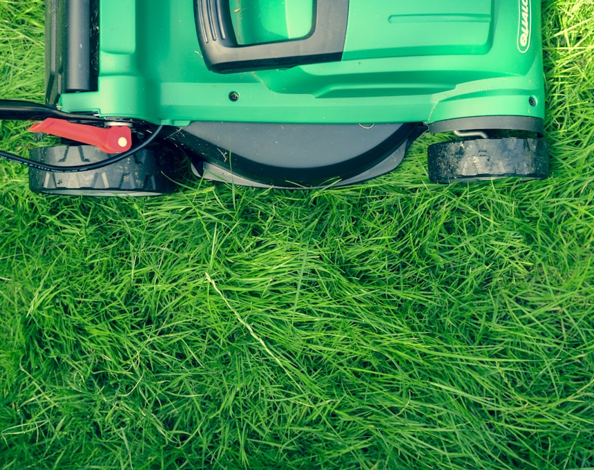 Mown lawn