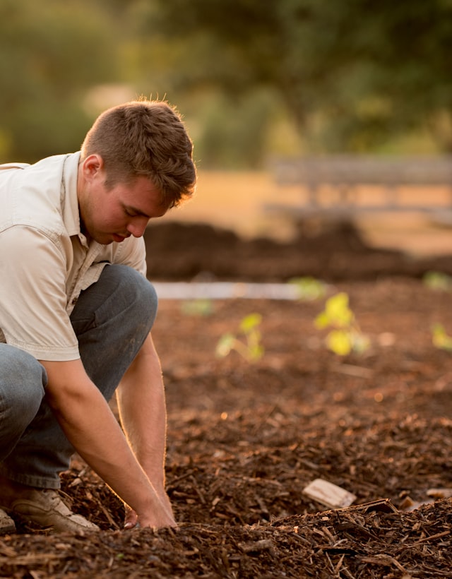 Gardener planting