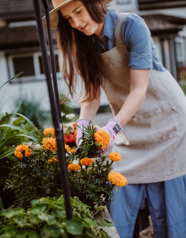 Gardening team at work