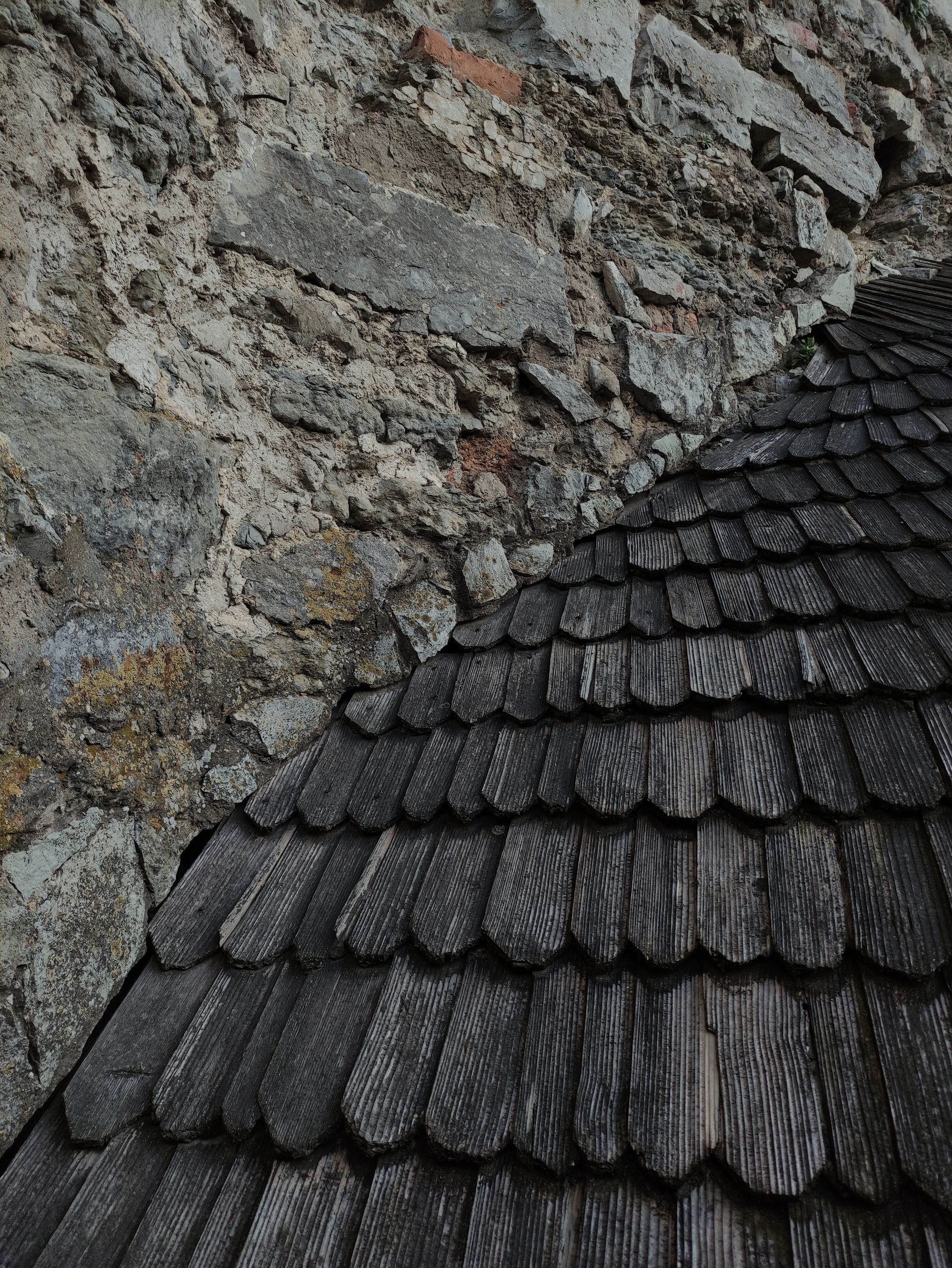 Weathered roof shingles ready for inspection