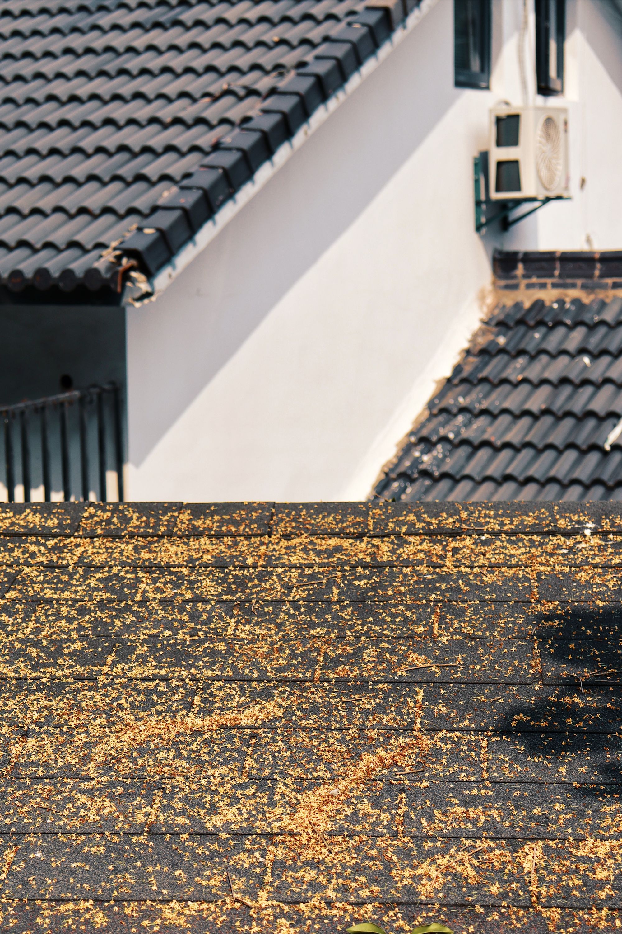 Finished black tile roof